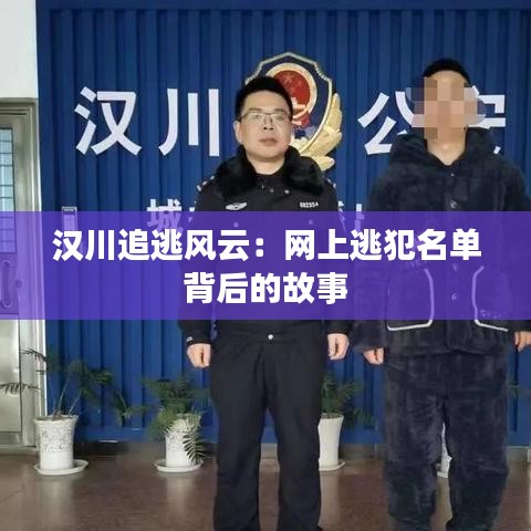 汉川追逃风云：网上逃犯名单背后的故事