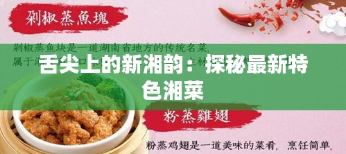 舌尖上的新湘韵：探秘最新特色湘菜