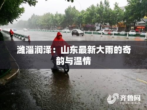 潍淄润泽：山东最新大雨的奇韵与温情