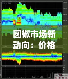 圆椒市场新动向：价格波动背后的故事