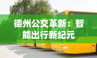 德州公交革新：智能出行新纪元