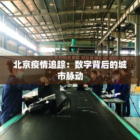 北京疫情追踪：数字背后的城市脉动