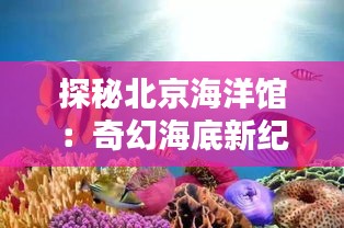 探秘北京海洋馆：奇幻海底新纪元