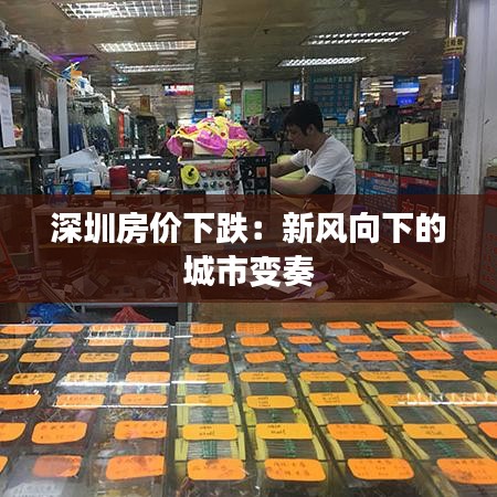 深圳房价下跌：新风向下的城市变奏