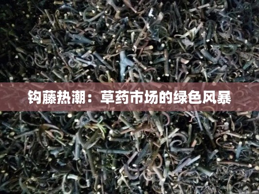 钩藤热潮：草药市场的绿色风暴