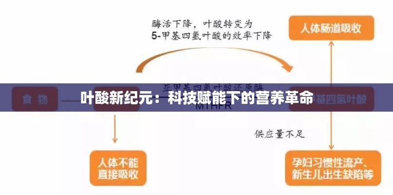 叶酸新纪元：科技赋能下的营养革命