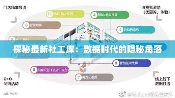 探秘最新社工库：数据时代的隐秘角落