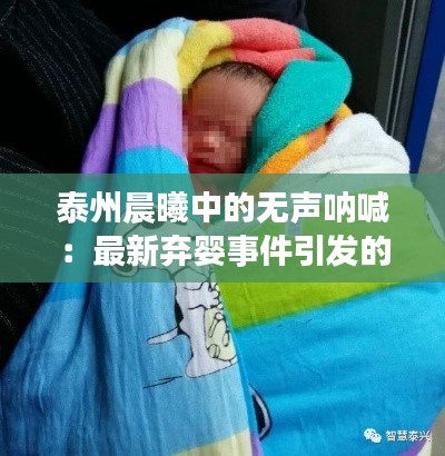 泰州晨曦中的无声呐喊：最新弃婴事件引发的深思