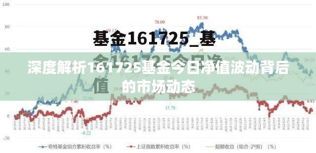 深度解析161725基金今日净值波动背后的市场动态