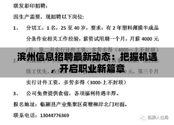 滨州信息招聘最新动态：把握机遇，开启职业新篇章