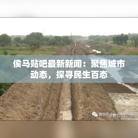 侯马贴吧最新新闻：聚焦城市动态，探寻民生百态