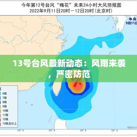 13号台风最新动态：风雨来袭，严密防范