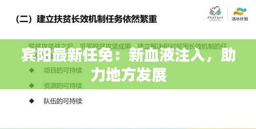 宾阳最新任免：新血液注入，助力地方发展