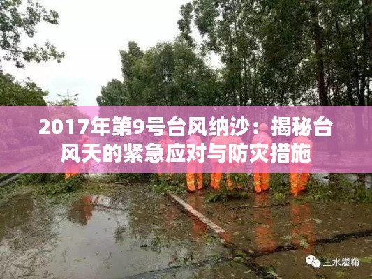 2017年第9号台风纳沙：揭秘台风天的紧急应对与防灾措施