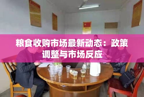 粮食收购市场最新动态：政策调整与市场反应