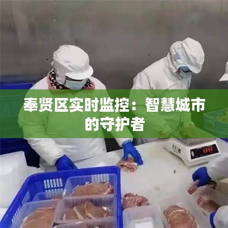 奉贤区实时监控：智慧城市的守护者