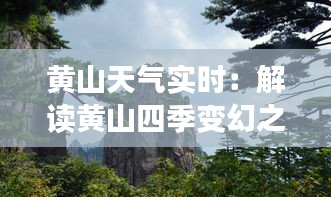 2024年12月10日 第29页