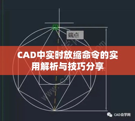 CAD中实时放缩命令的实用解析与技巧分享