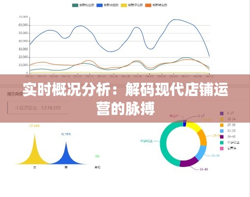 实时概况分析：解码现代店铺运营的脉搏