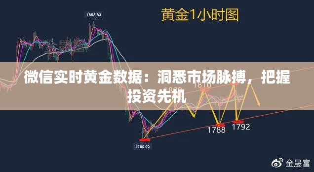 微信实时黄金数据：洞悉市场脉搏，把握投资先机