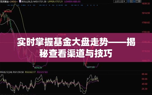 实时掌握基金大盘走势——揭秘查看渠道与技巧