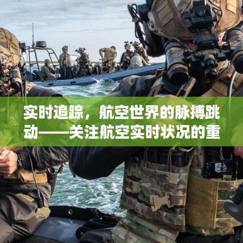 实时追踪，航空世界的脉搏跳动——关注航空实时状况的重要性