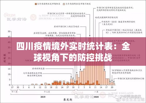 四川疫情境外实时统计表：全球视角下的防控挑战