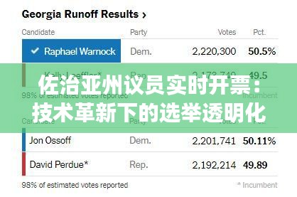 佐治亚州议员实时开票：技术革新下的选举透明化