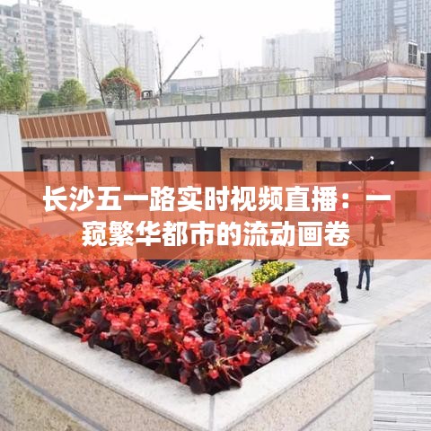 长沙五一路实时视频直播：一窥繁华都市的流动画卷