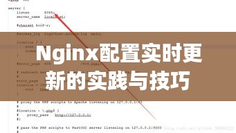 Nginx配置实时更新的实践与技巧