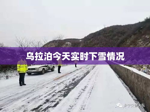 乌拉泊今天实时下雪情况