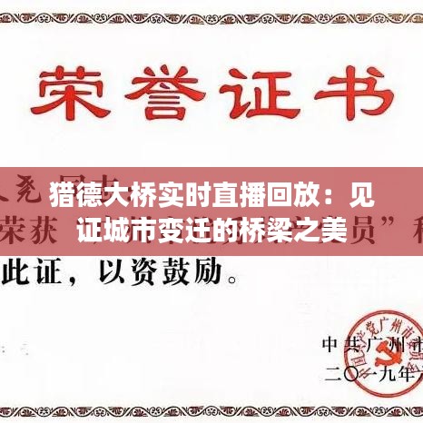 猎德大桥实时直播回放：见证城市变迁的桥梁之美