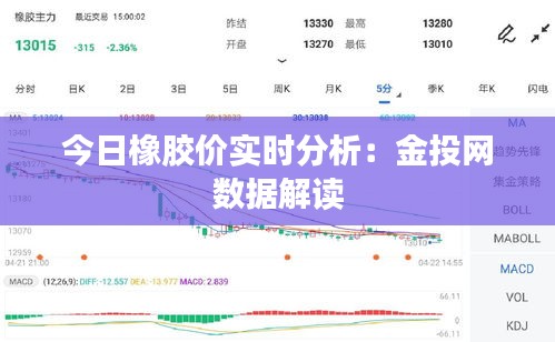 今日橡胶价实时分析：金投网数据解读