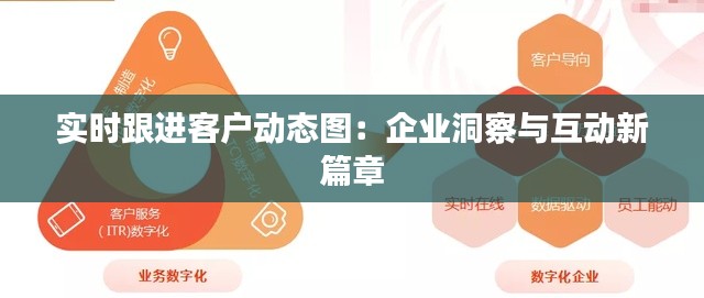 实时跟进客户动态图：企业洞察与互动新篇章