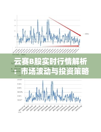 云赛B股实时行情解析：市场波动与投资策略