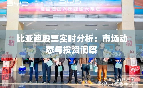 比亚迪股票实时分析：市场动态与投资洞察