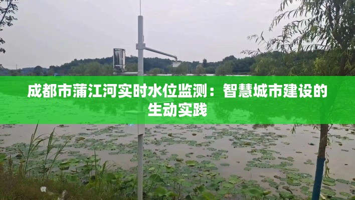 成都市蒲江河实时水位监测：智慧城市建设的生动实践