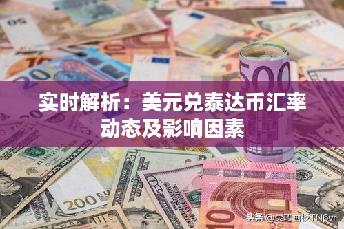 实时解析：美元兑泰达币汇率动态及影响因素