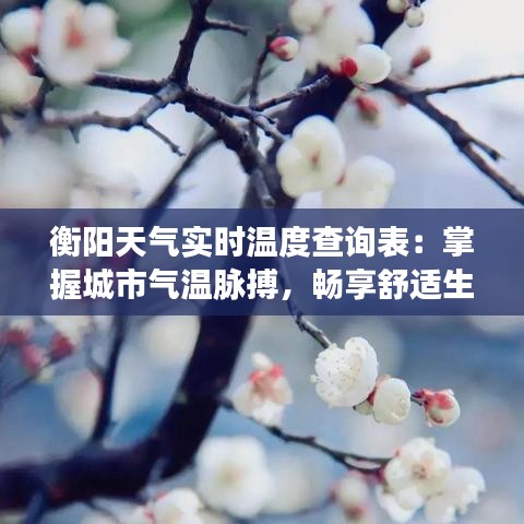 衡阳天气实时温度查询表：掌握城市气温脉搏，畅享舒适生活