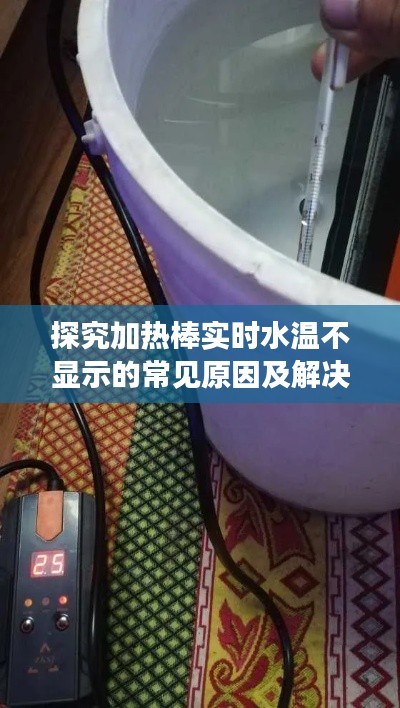 探究加热棒实时水温不显示的常见原因及解决方法