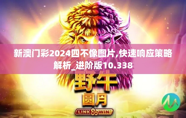 新澳门彩2024四不像图片,快速响应策略解析_进阶版10.338