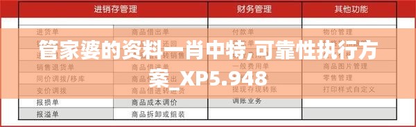 管家婆的资料一肖中特,可靠性执行方案_XP5.948