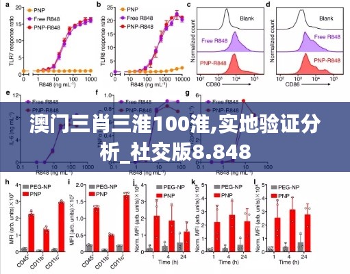 澳门三肖三淮100淮,实地验证分析_社交版8.848