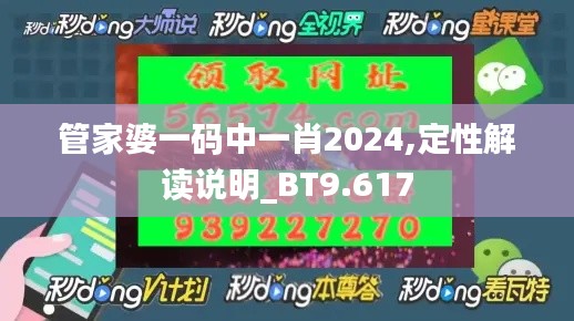 管家婆一码中一肖2024,定性解读说明_BT9.617