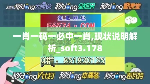 一肖一码一必中一肖,现状说明解析_soft3.178