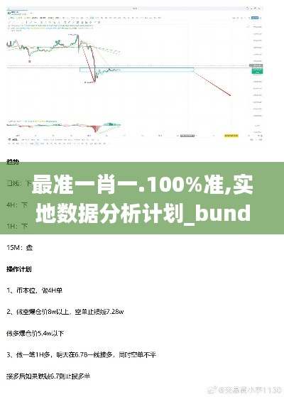 最准一肖一.100%准,实地数据分析计划_bundle10.793