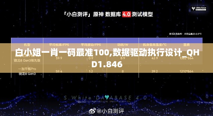 白小姐一肖一码最准100,数据驱动执行设计_QHD1.846