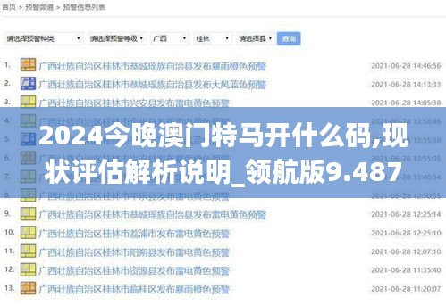 2024今晚澳门特马开什么码,现状评估解析说明_领航版9.487