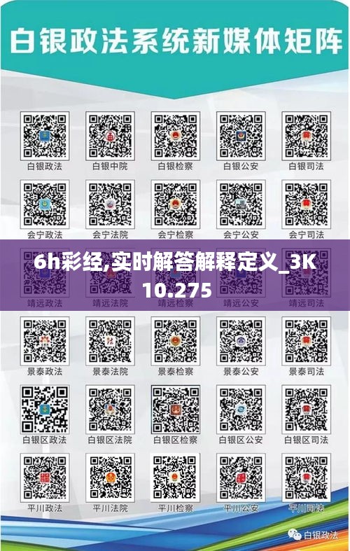 6h彩经,实时解答解释定义_3K10.275