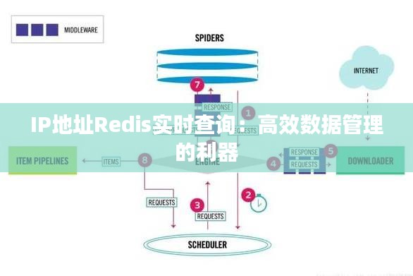 IP地址Redis实时查询：高效数据管理的利器